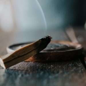 palo santo on dish